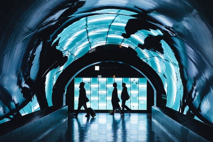 Paris Private transfer Orly Airport to Paris City